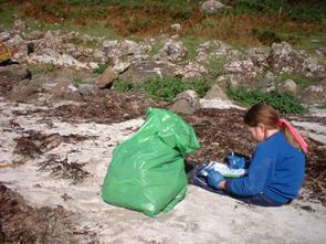 Help protect the marine environment by taking part in a beach clean